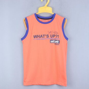 Round Neck Double Knit Cotton Sleeveless T-Shirt For 5Years-8Years Boys-11457736