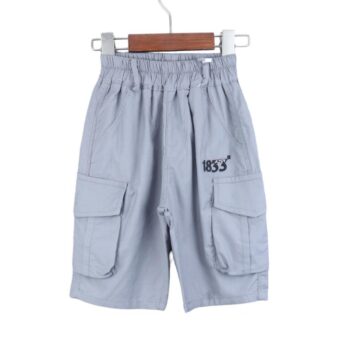 Grey 2 Way Stretch Tapered-Knee Length Casual Cotton Cargo Shorts For 3Years-8Years Boys-12061292