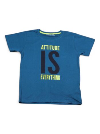 Blue Round Neck Single Knit Cotton Half Sleeve T-Shirt For 6 To 9 Years Boys-11455322