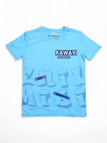 Blue Round Neck Double Knit Cotton Half Sleeve T-Shirt For 4 To 12 Years Boys-11463851
