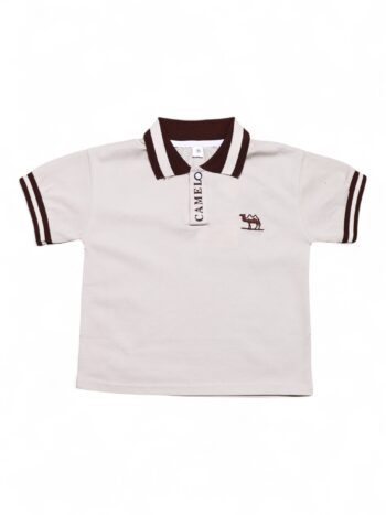 Brown Round Neck Double Knit Cotton Half Sleeve T-Shirt For 18 Months To 6 Year Boys-11466542