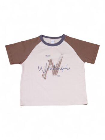 Cream-Brown Round Neck Single Knit Cotton Half Sleeve T-Shirt For 5 To 8 Years Boys-11477851