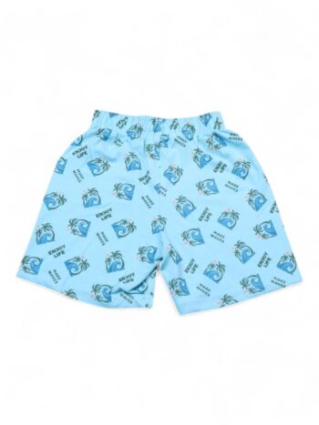 Lightblue Cotton Underwear For 2 To 5 Years Boys-12154277