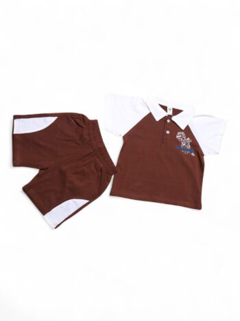 Brown Comfy Summer 2 Piece Combo-Set For 1.5 To 6 Years Boys-15083481